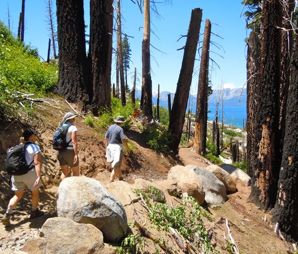 van-sickle-bi-state-park-tahoe
