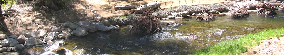 blackwood-creek-restoration-creek-photo