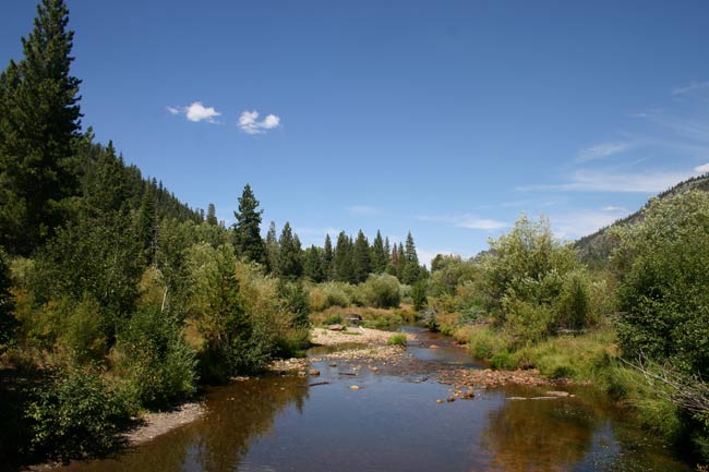 truckee-river-restoration-project