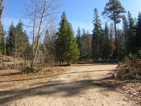 TahoePinesEntry