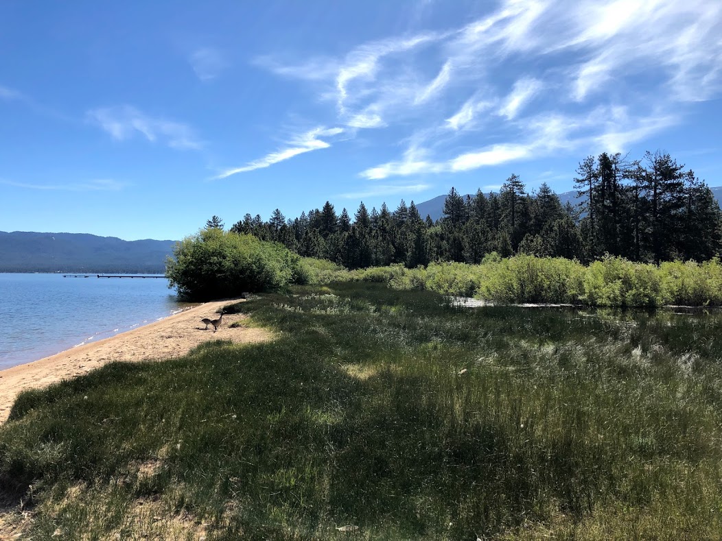 High water at Upper Truckee Marsh