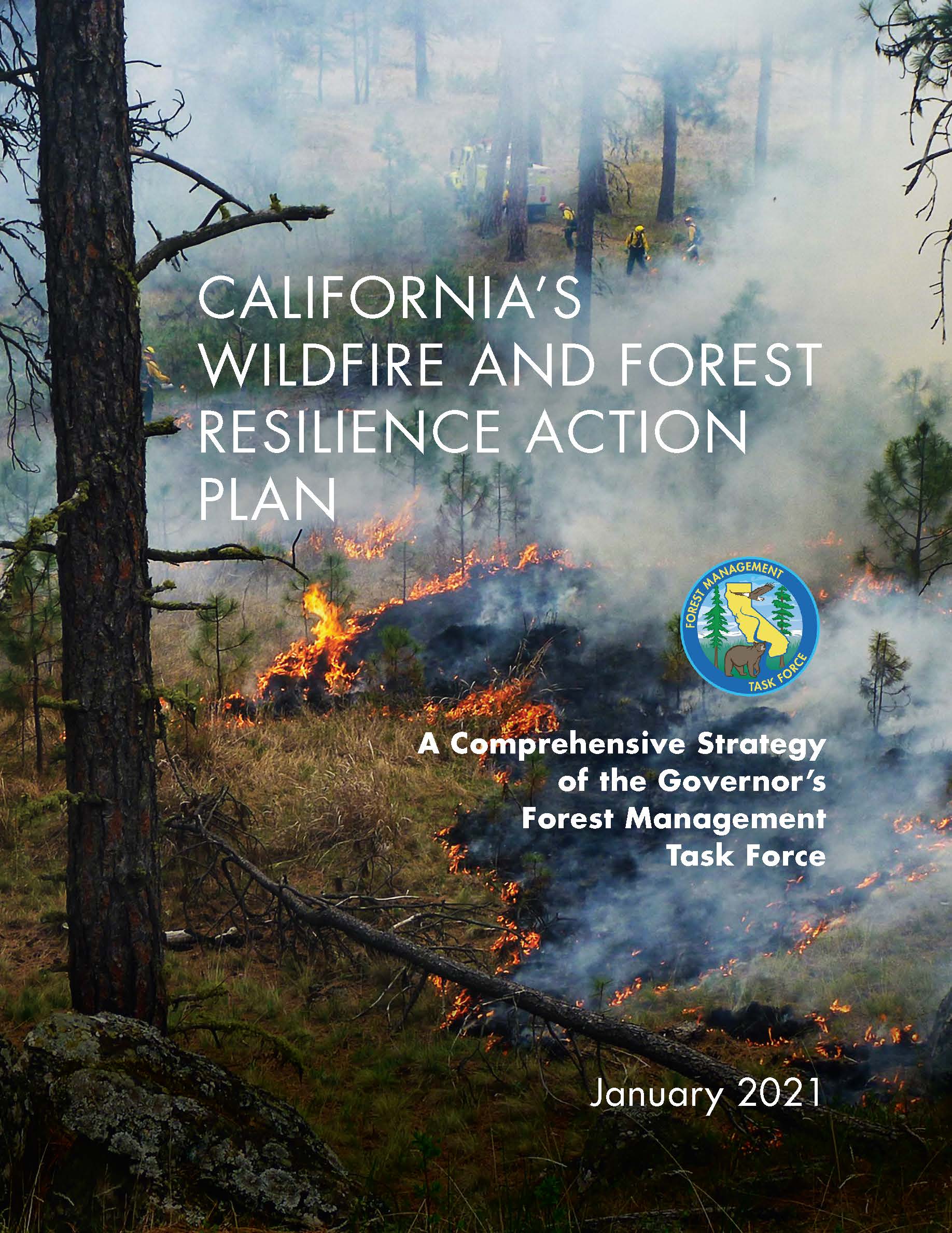 Wildfire and Forest Resilience Action Plan