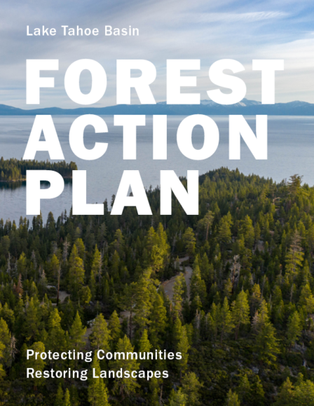 Forest Action Plan