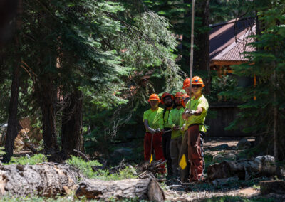 Crew members hold a rope connected to a tree about to be felled