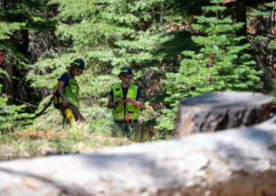 Forestry aides identifying project boundaries