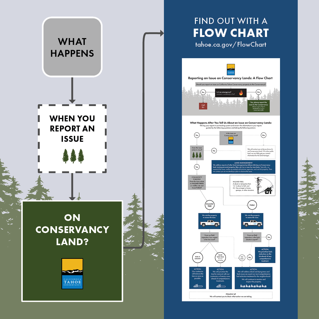 Flow Chart: Reporting an Issue on Conservancy Lands