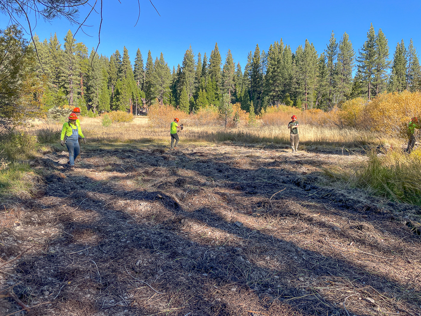 Crew members spreading seed in a meadow with trees behind