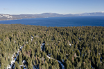 A forest and Lake Tahoe