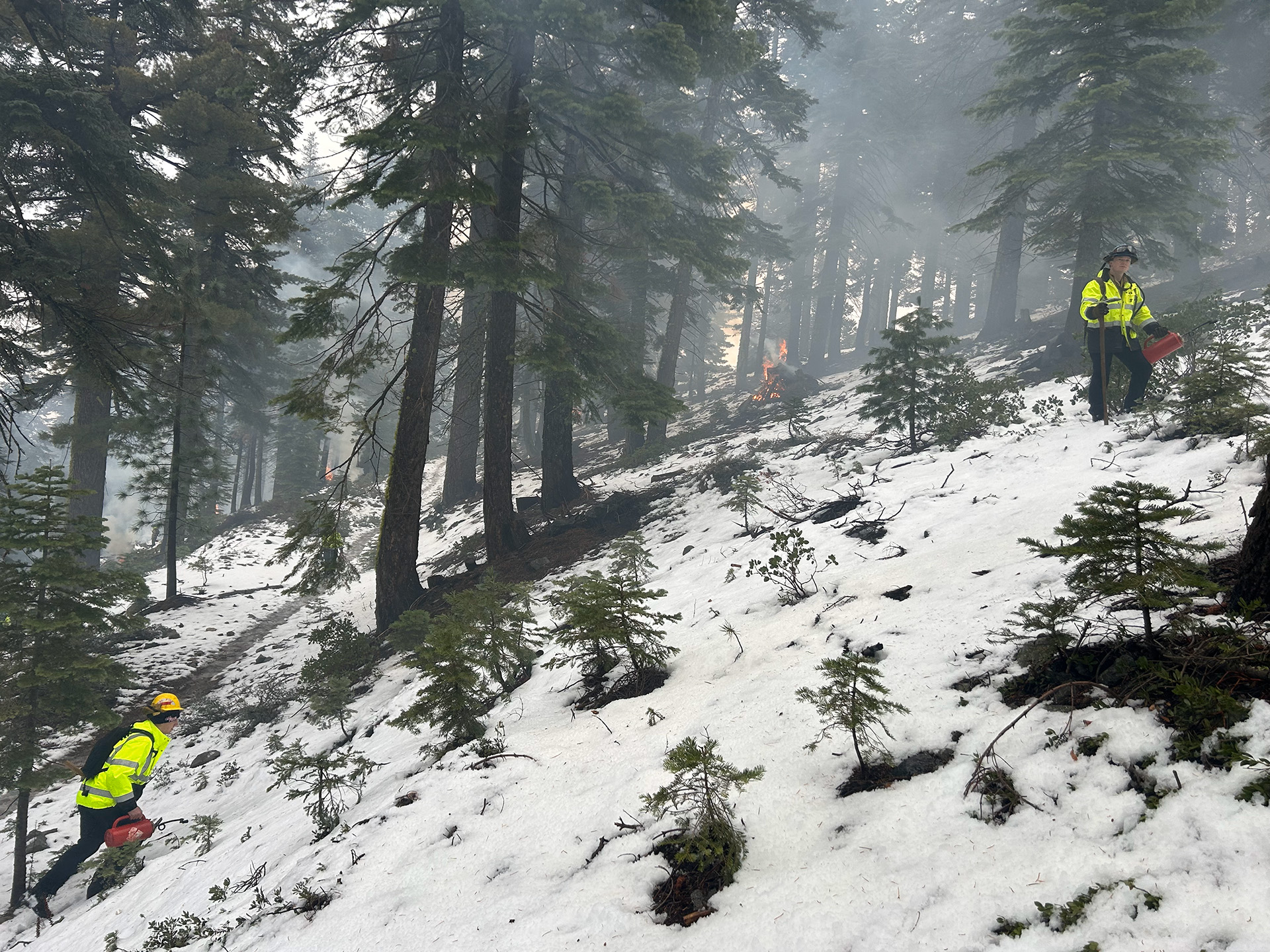 Firefighters engaged in a prescribed fire operation in a forest in winter, with snow on the ground and piles burning.