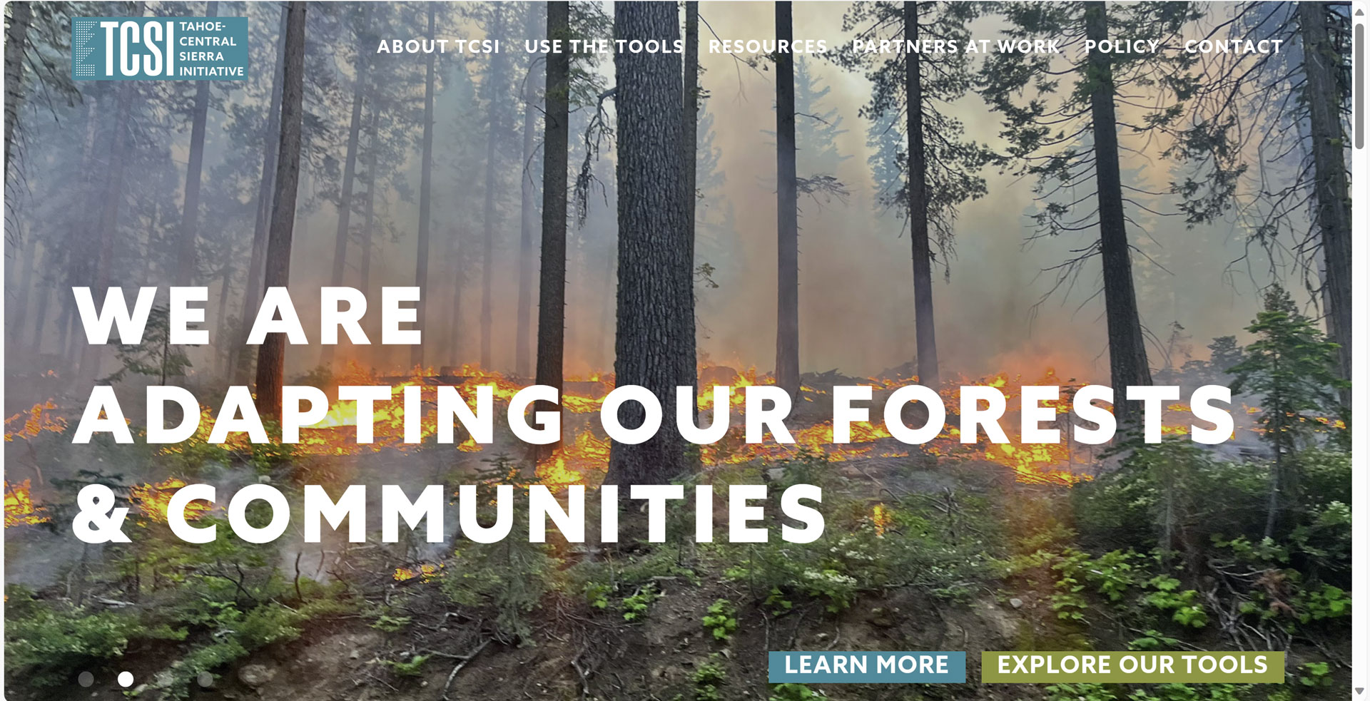 New Website for the Tahoe-Central Sierra Initiative
