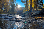 Fall color at the Upper Truckee River