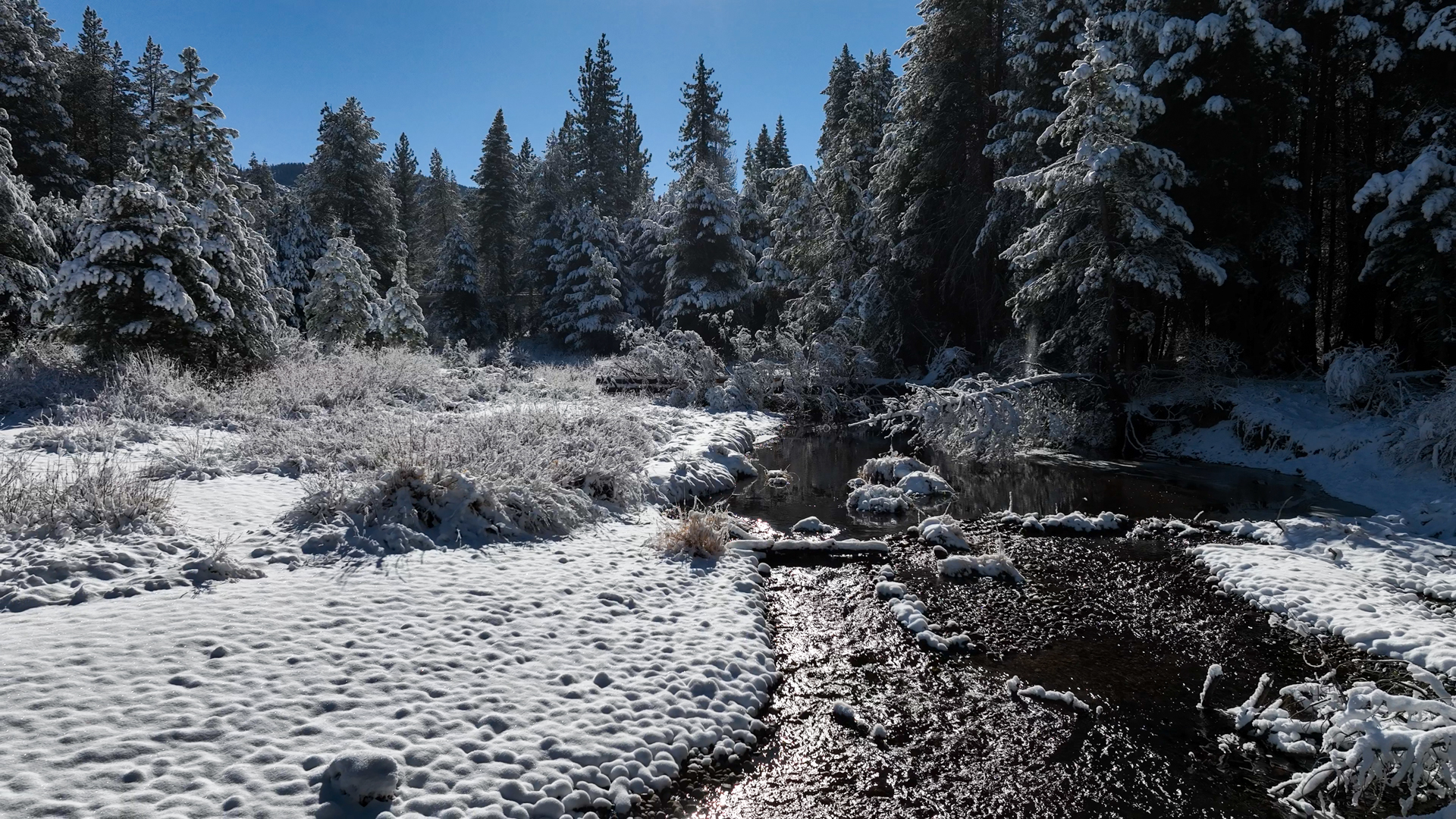 Upper Truckee River