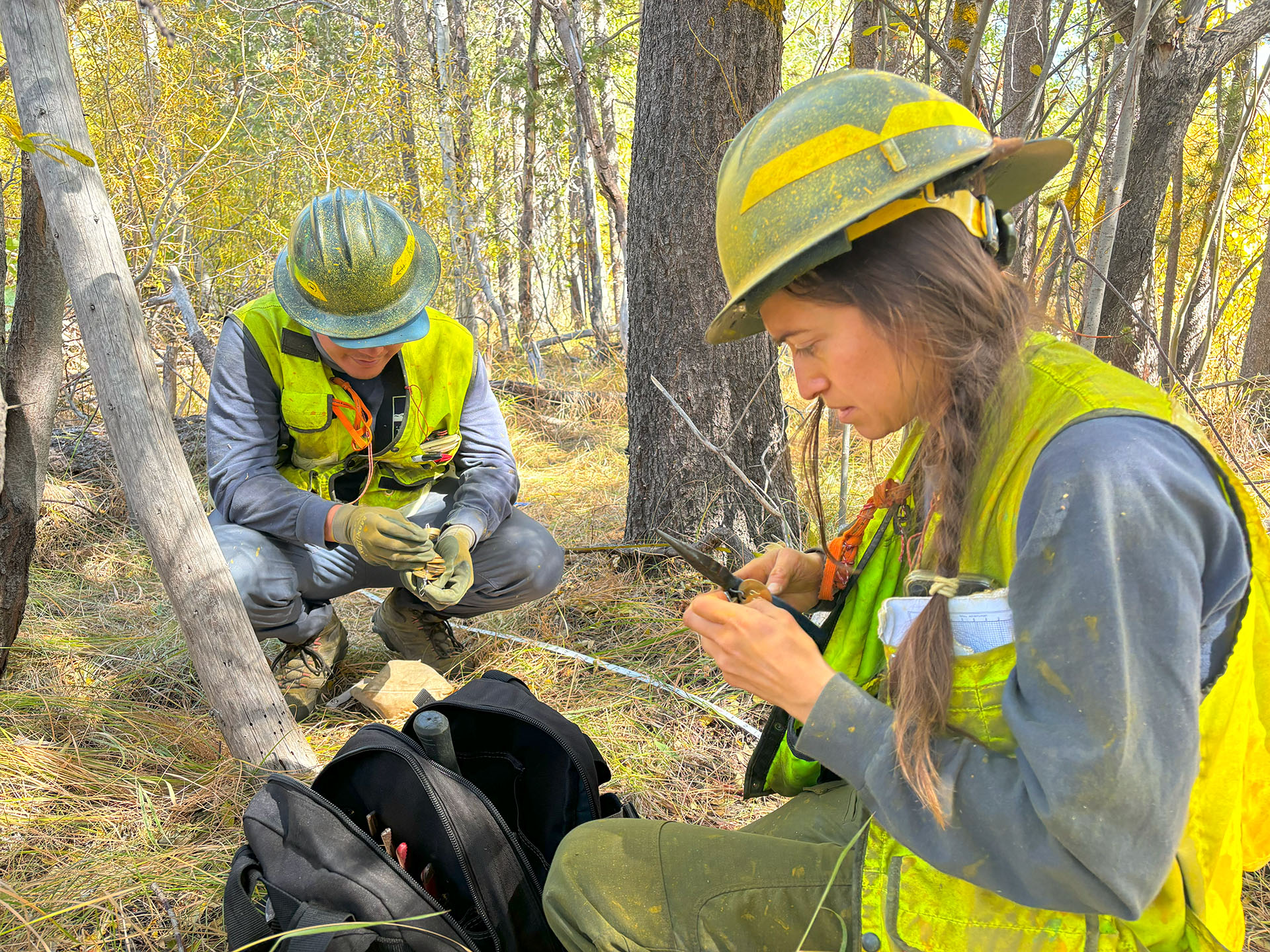 Forestry Aides working on forested California Tahoe Conservancy land, wearing hard hats and safety vests.