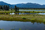 Upper Truckee Marsh at Lake Tahoe