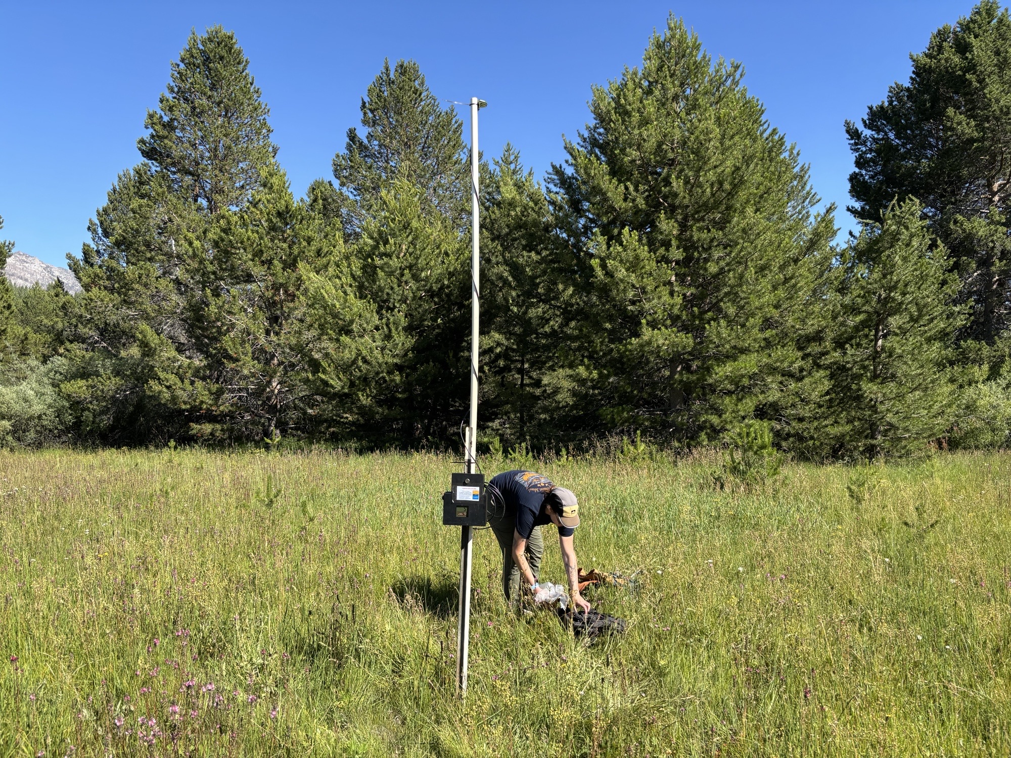 Staff sets up a bat detection device on Conservancy land