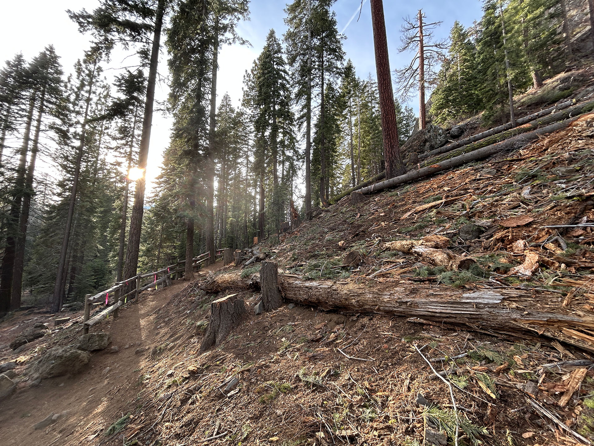 The Eagle Rock trail after clearing hazard trees