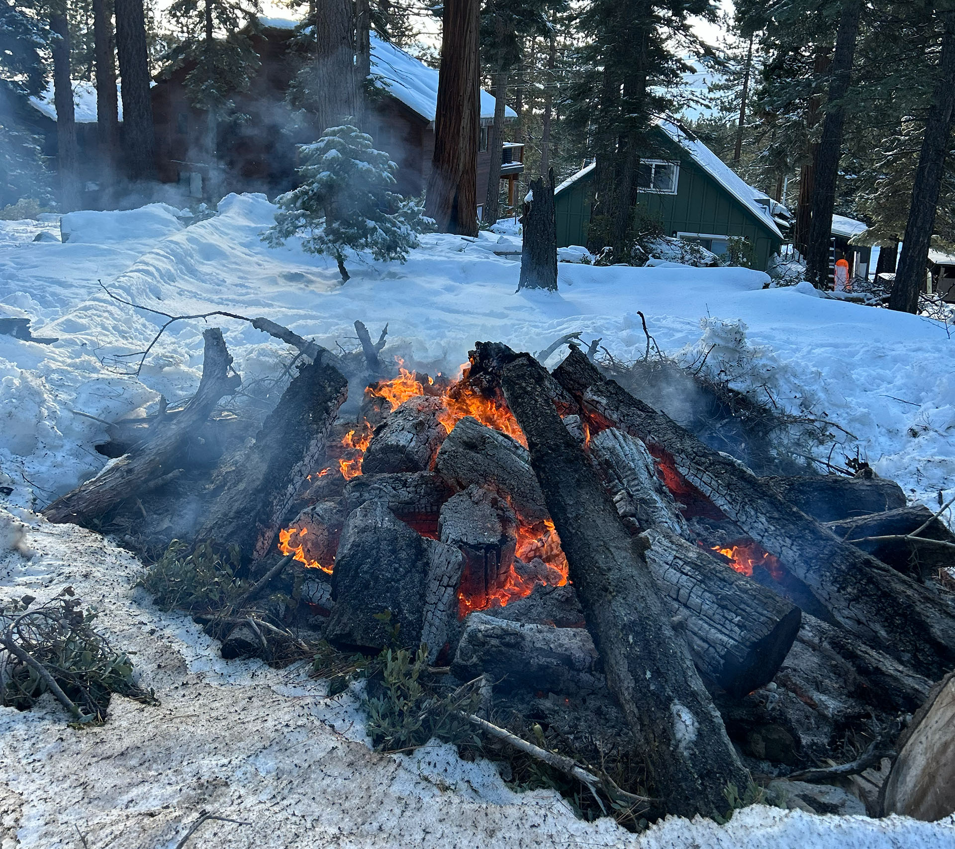 A pile burning with homes in the distance through the trees.