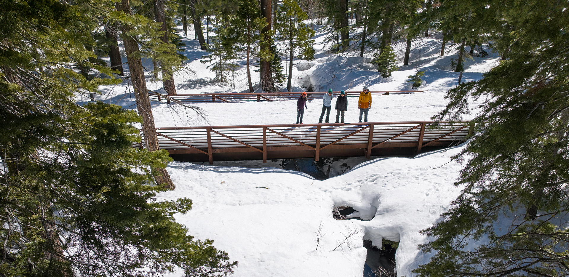 People on snowshoes on a bridge in the forest.