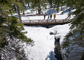 People on snowshoes on a bridge in the forest.