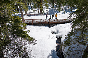 People on snowshoes on a bridge in the forest.