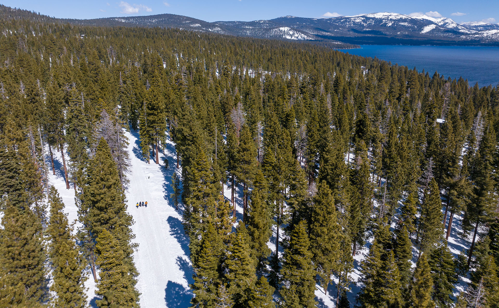 People snowshoeing in a forest with Lake Tahoe in the background.