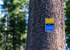 California Tahoe Conservancy sign on a tree