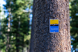 California Tahoe Conservancy sign on a tree