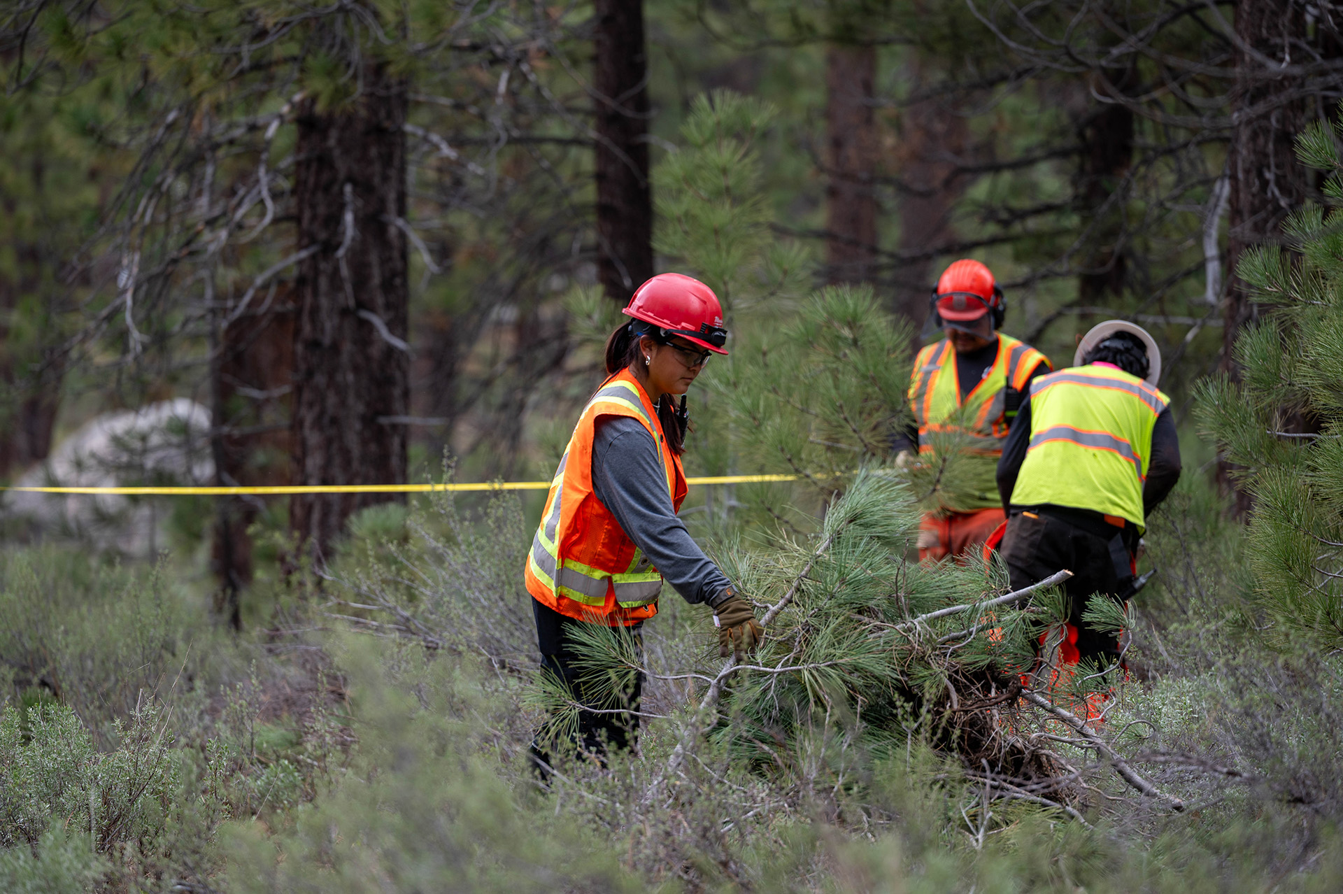 Members of the Washoe Tribe Conservation Corps implementing a forestry project on California Tahoe Conservancy land.