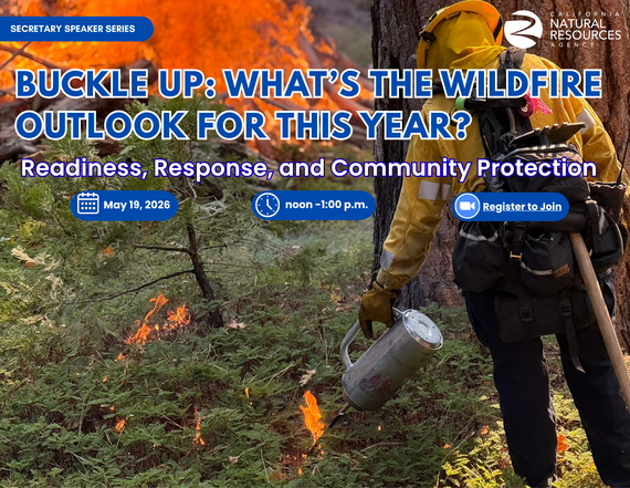 Buckle up: what's the wildfire outlook for this year?