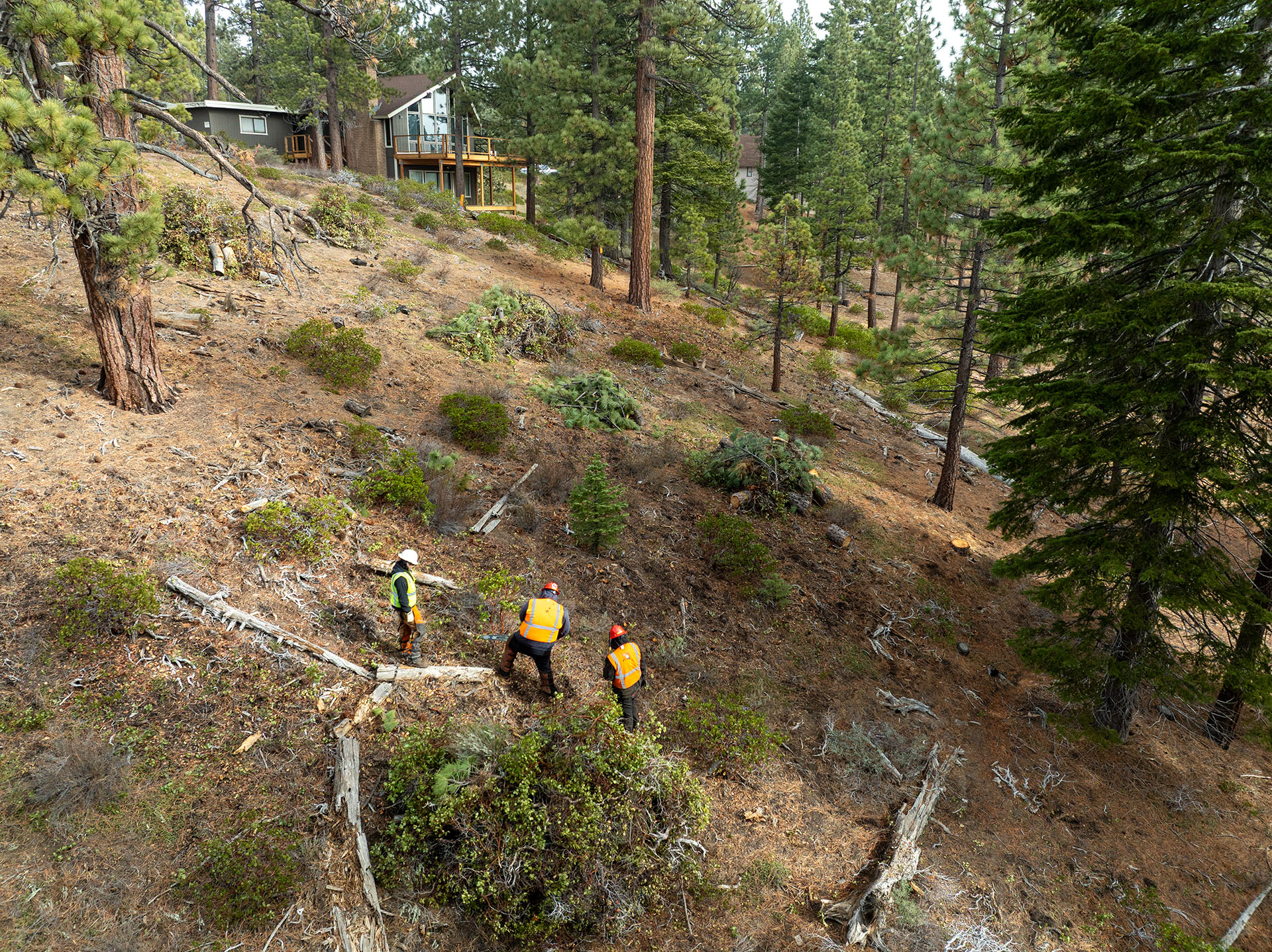 Members of the Washoe Tribe Conservation Corps implementing a forestry project on California Tahoe Conservancy land.
