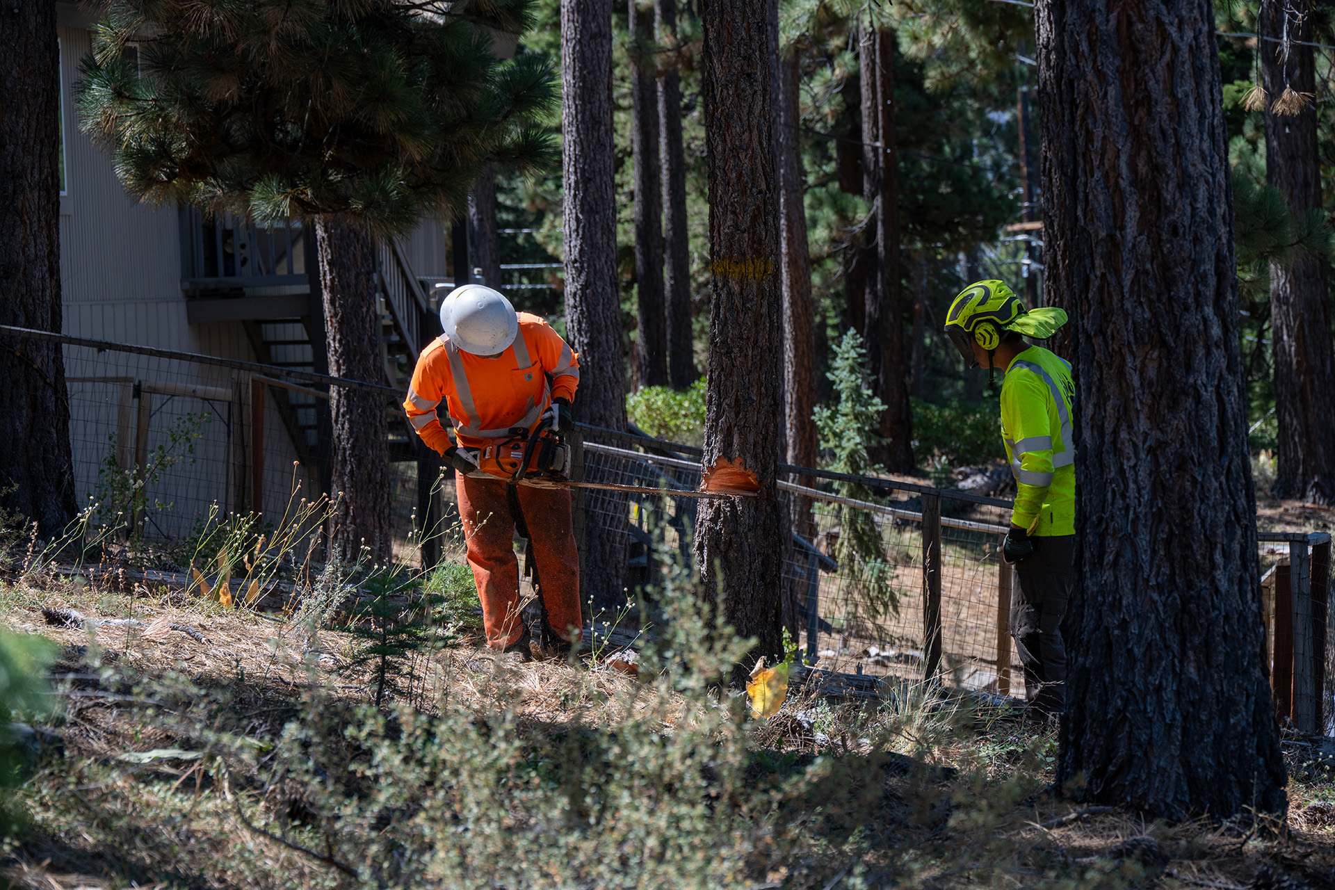 Calaveras Healthy Impact Product Solutions-CHIPS crew members implementing fuels reduction project on Tahoe Conservancy Land