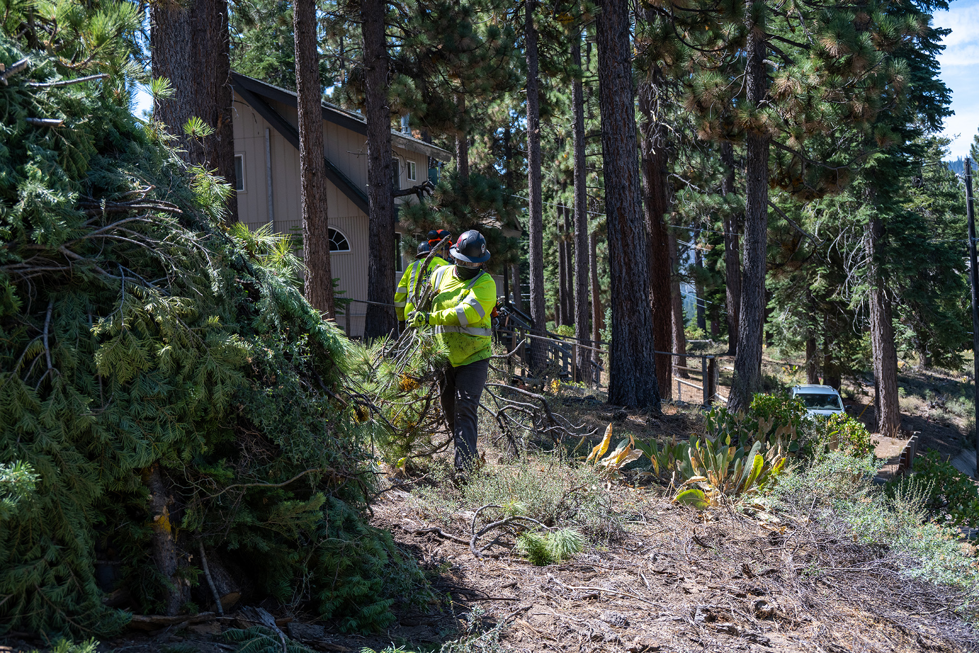 Calaveras Healthy Impact Product Solutions-CHIPS crew members implementing fuels reduction project on Tahoe Conservancy Land