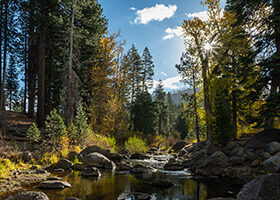 The Upper Truckee River at Tahoe Pines